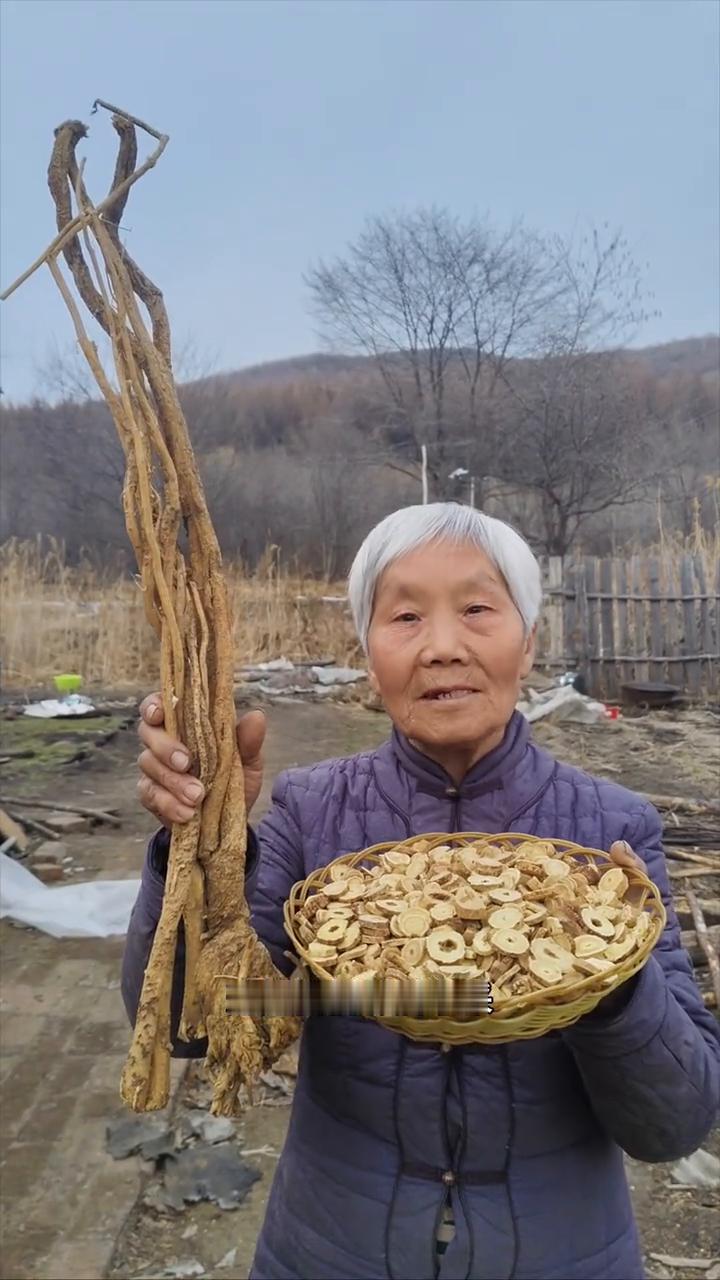 黑龙江原始大森林，最低零下40来度，寒带的黄芪嘎嘎好。
我家是小兴安岭的主脉，原