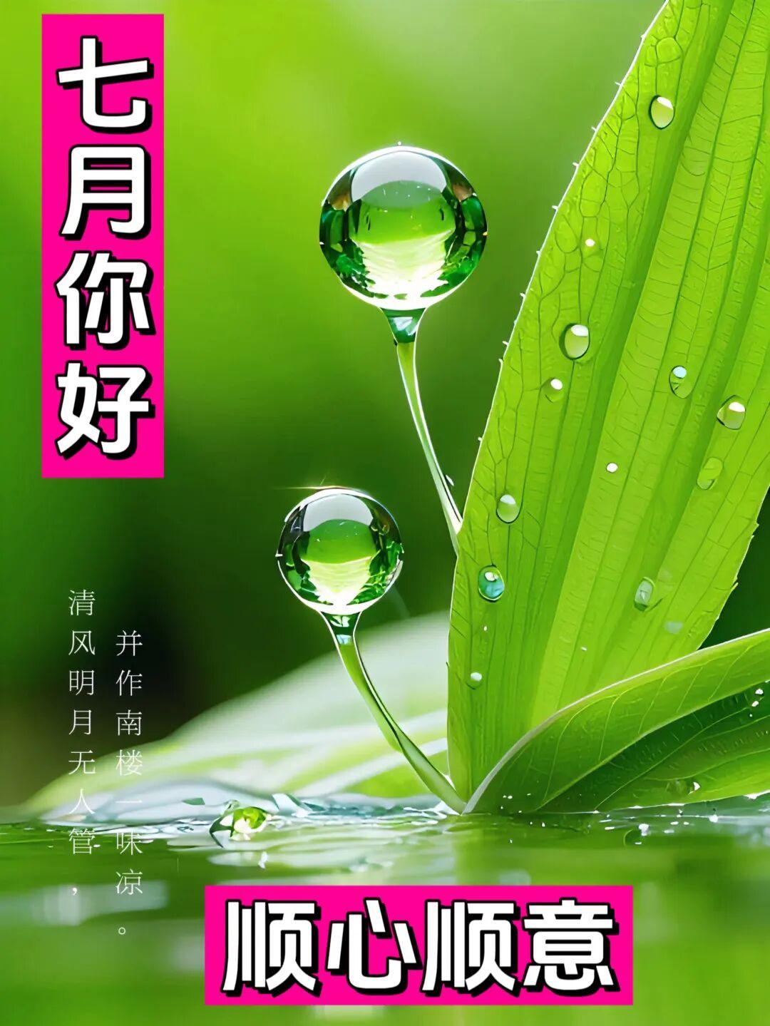万物不随身，只有健康真，生活糊涂过，日子每天新，打开微信看，惦念有缘人，心静常思