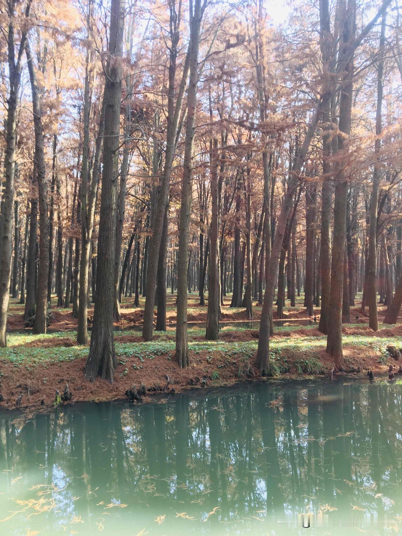 家人们，推特史上转发最疯的致富指南来了！就是纳瓦尔那篇《如何不靠运气致富》，看过