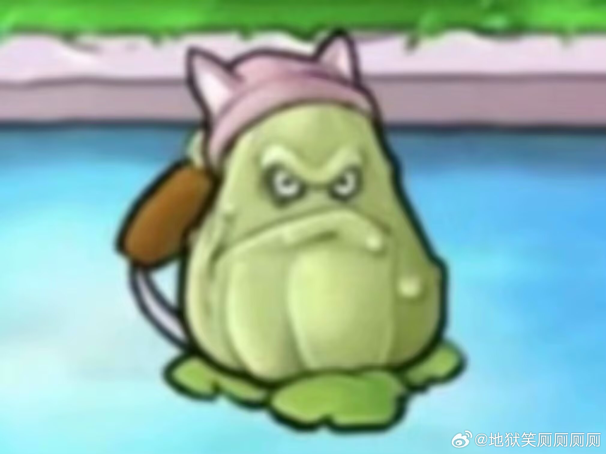 1414我试图卖萌就这样 