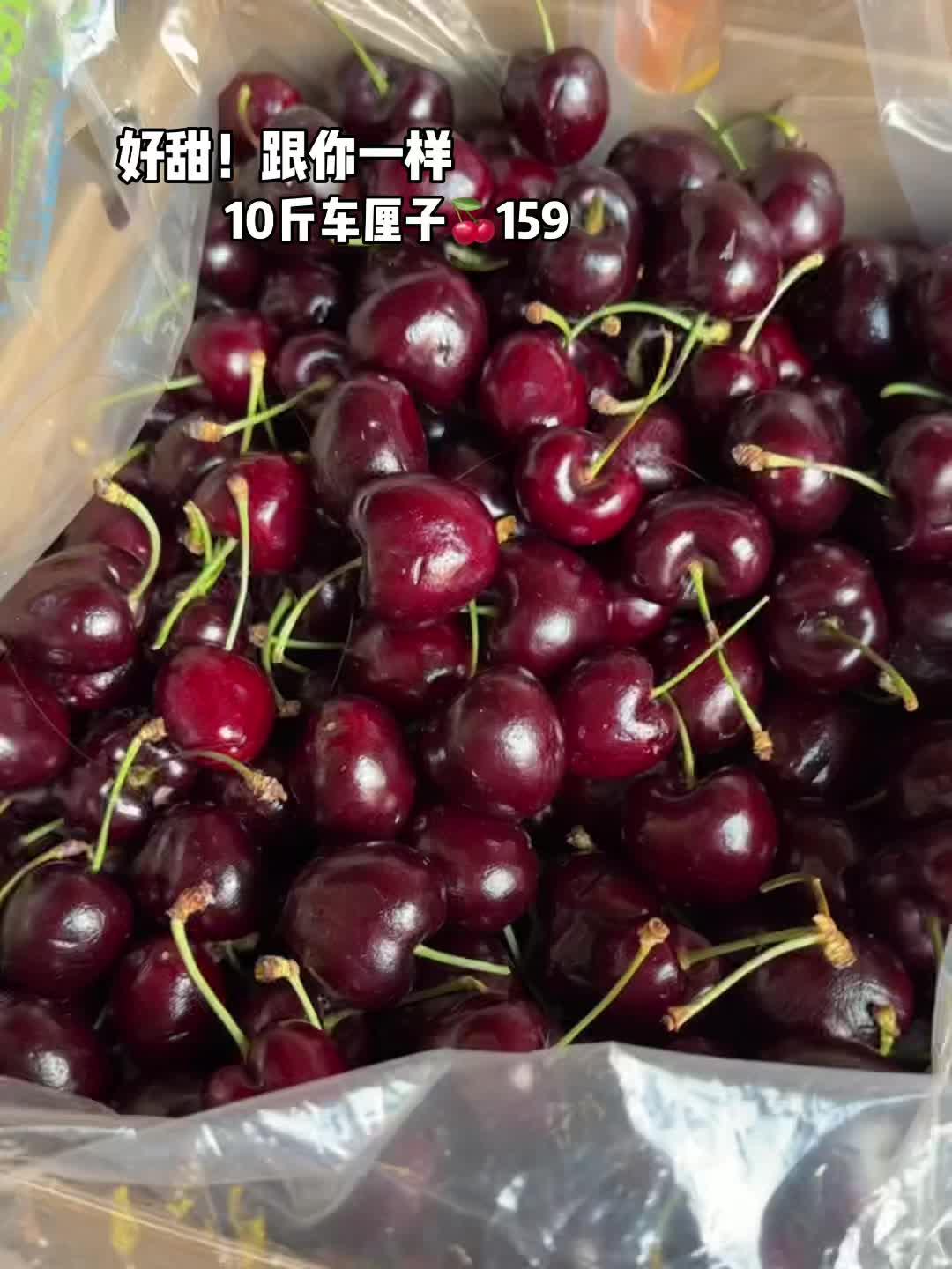 果叔真的是，10斤车厘子才159
