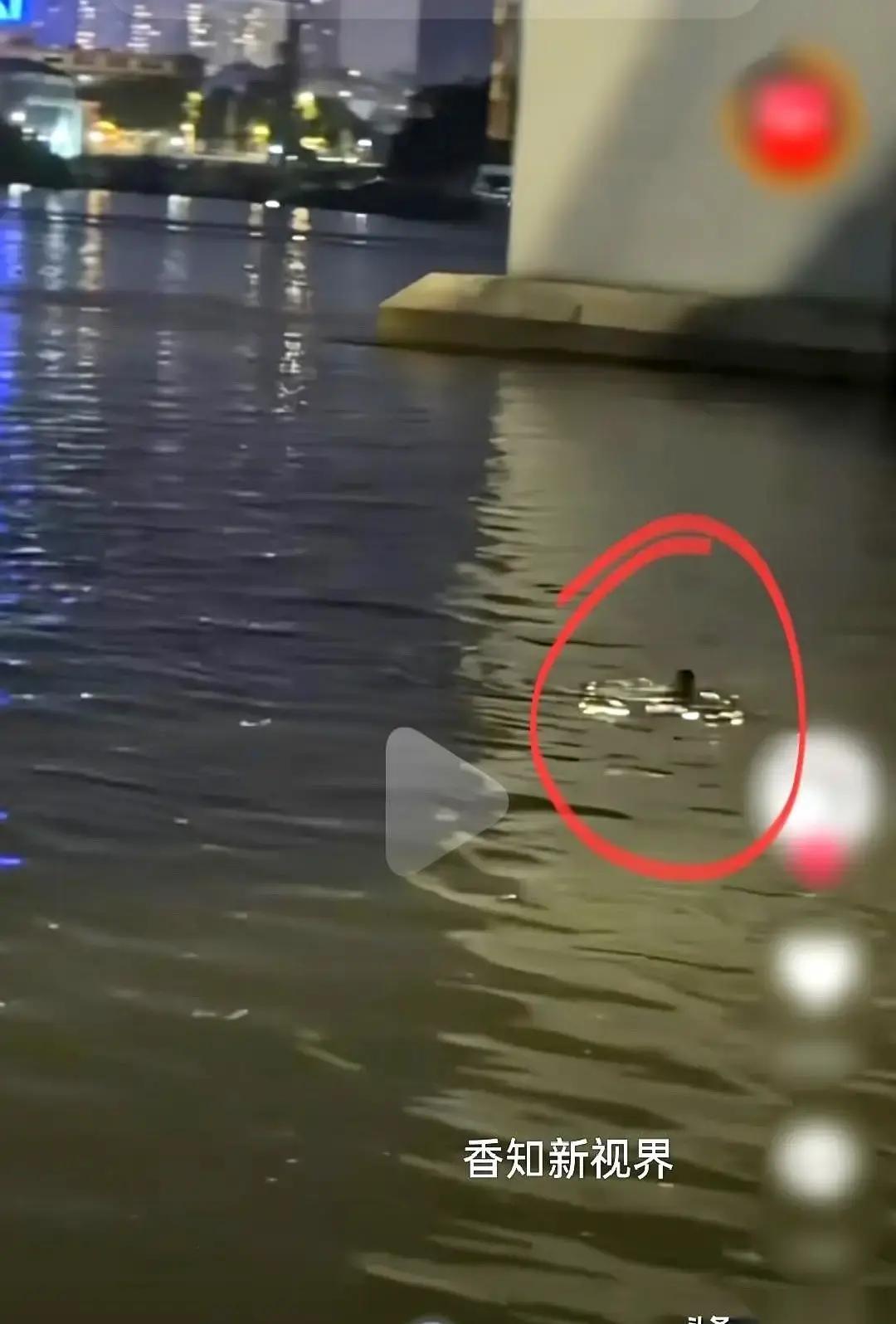 他跳下广州洛溪大桥，然后自己游了回来。
 
去年12月，一个30岁的男人。家庭矛