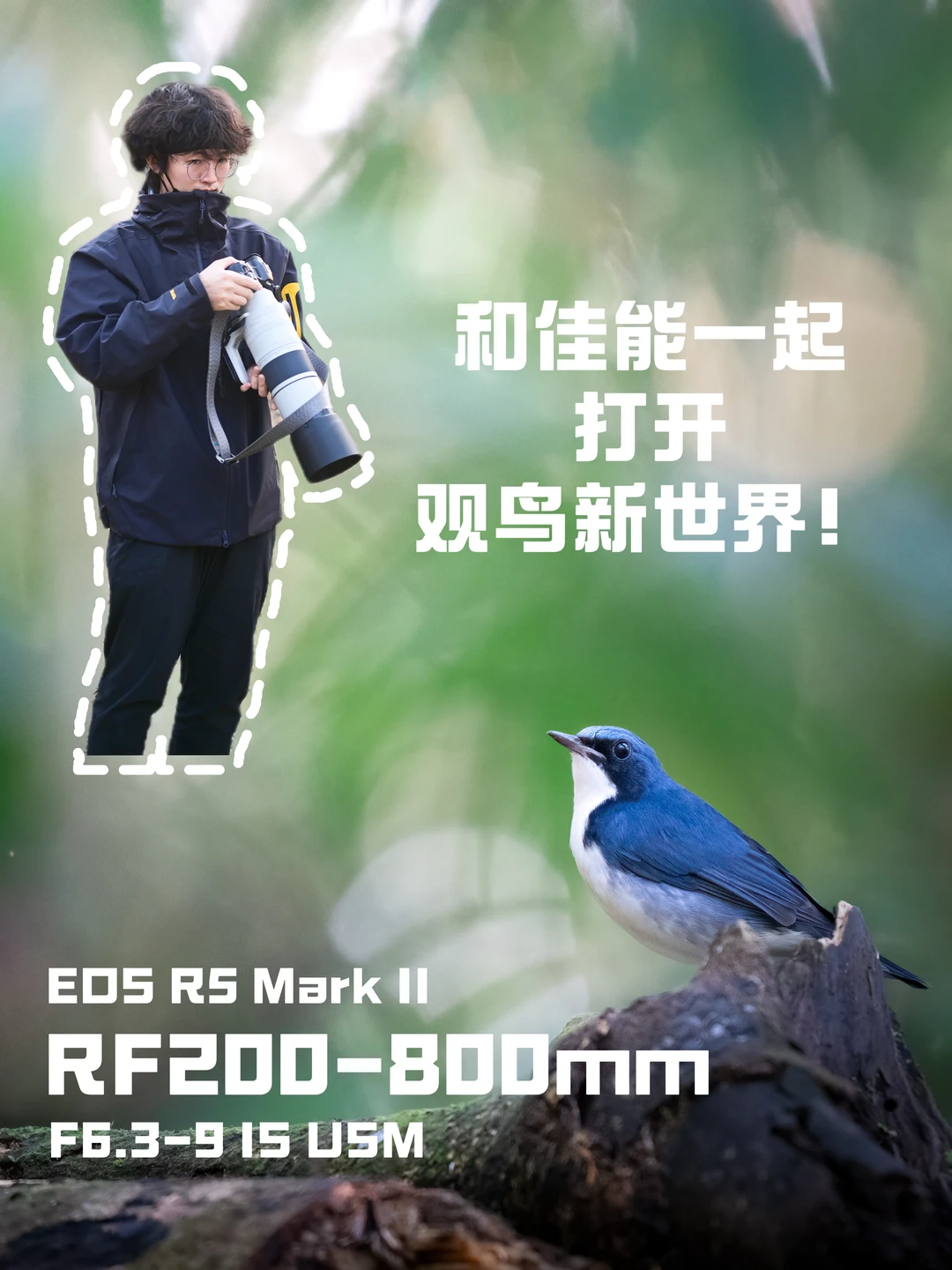 和佳能一起打开观鸟新世界！