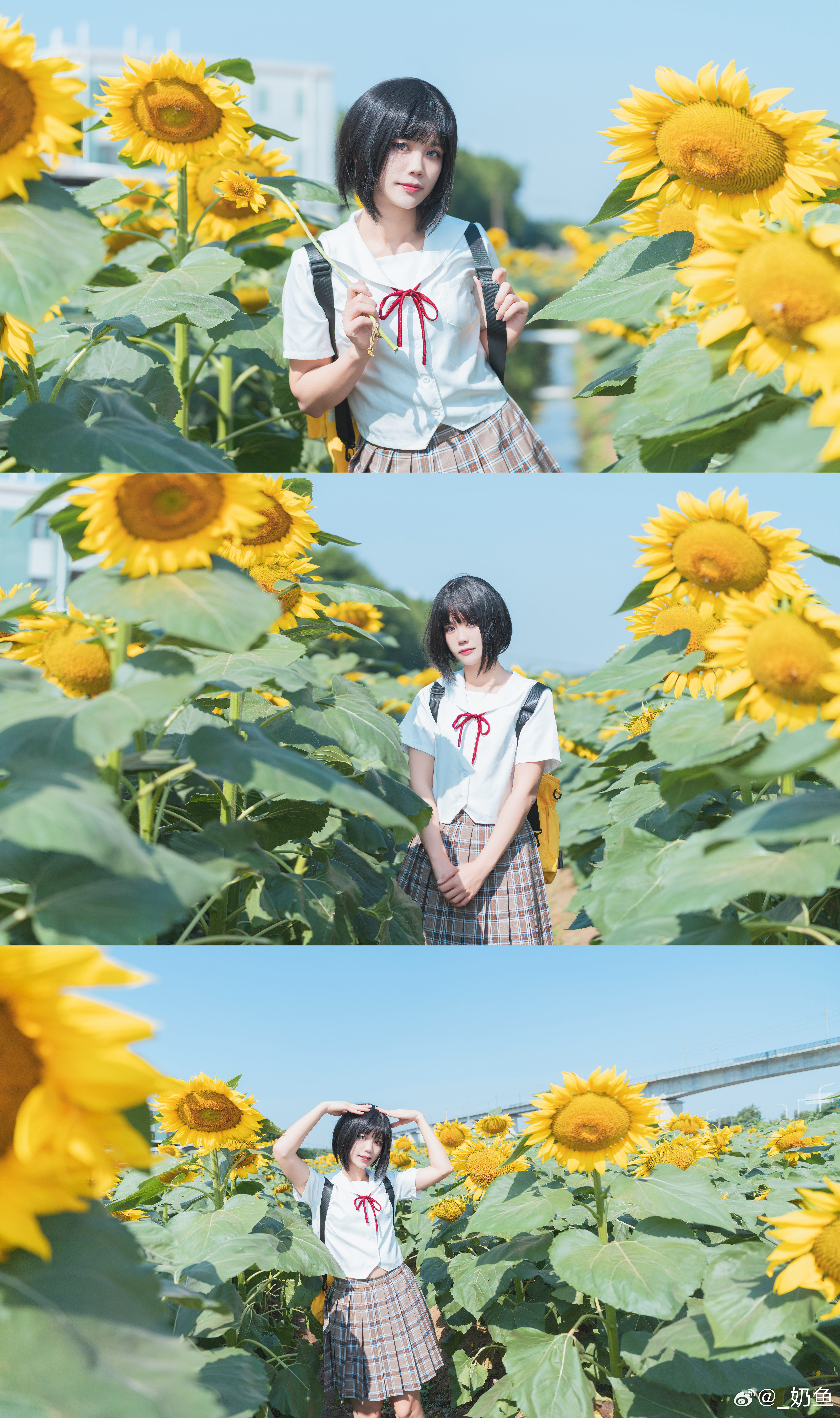 #向日葵##jk# 出镜：📷：​​​