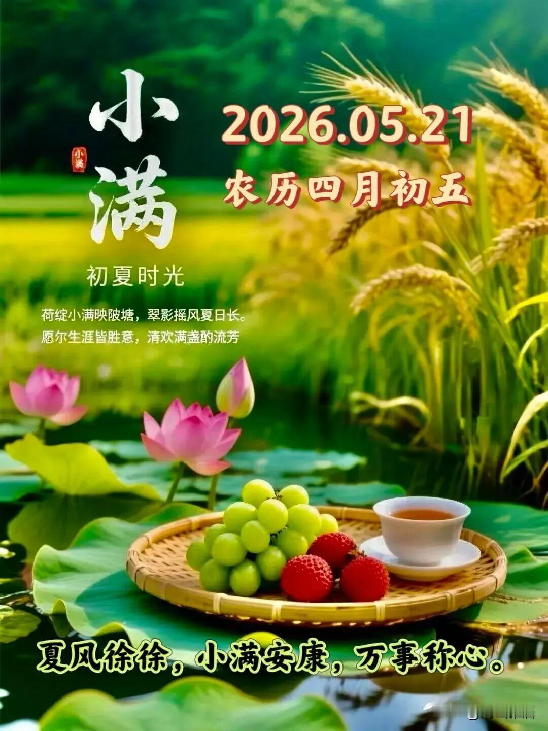 真心话茶局今天小满节气，很有意思的节气，锲合人生哲理，人生小满胜万全。