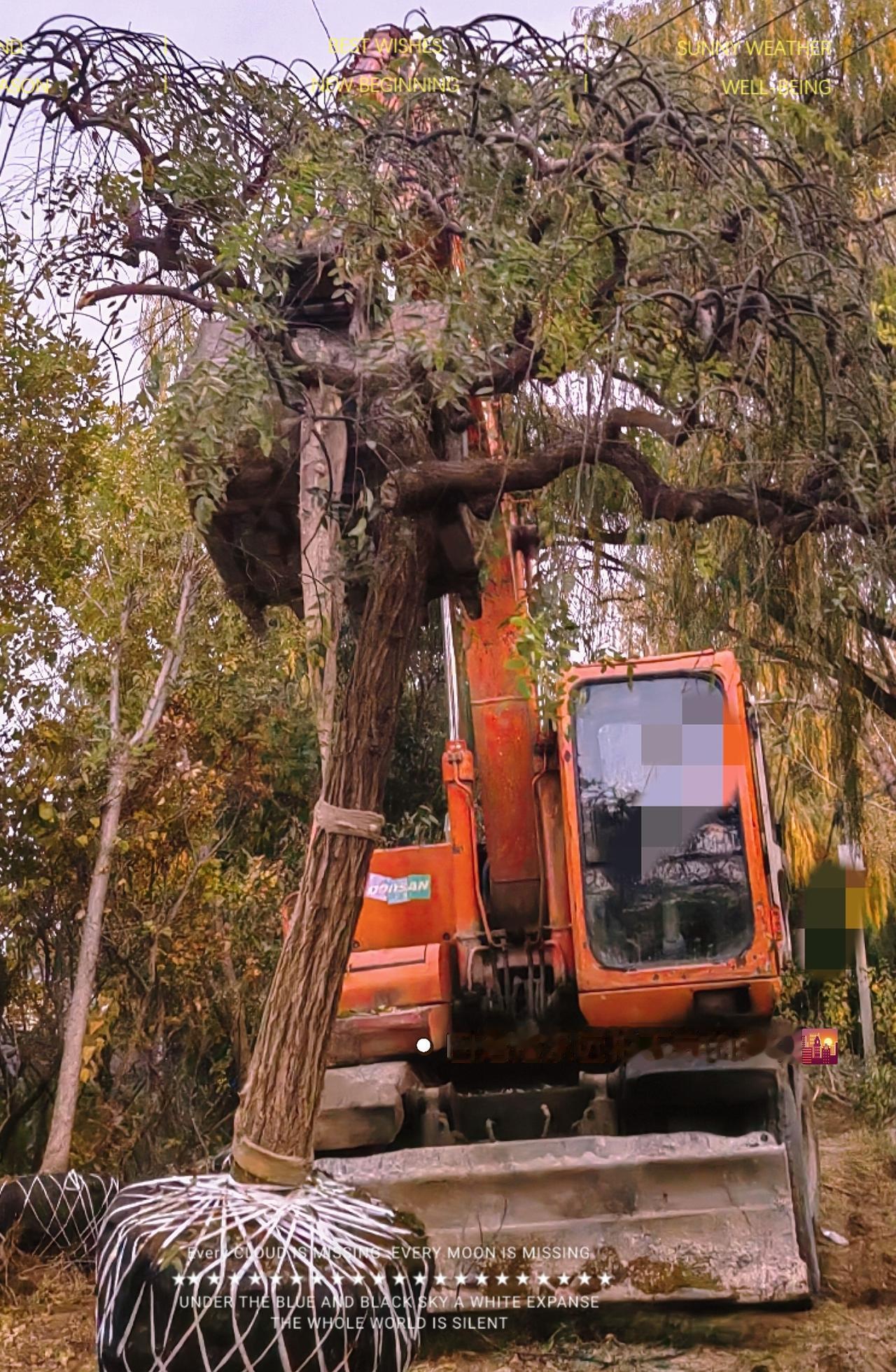 认知外来的钱有多好挣，其实很超出你的想象，一个曾经的工友和我说，今天自己用挖机雕
