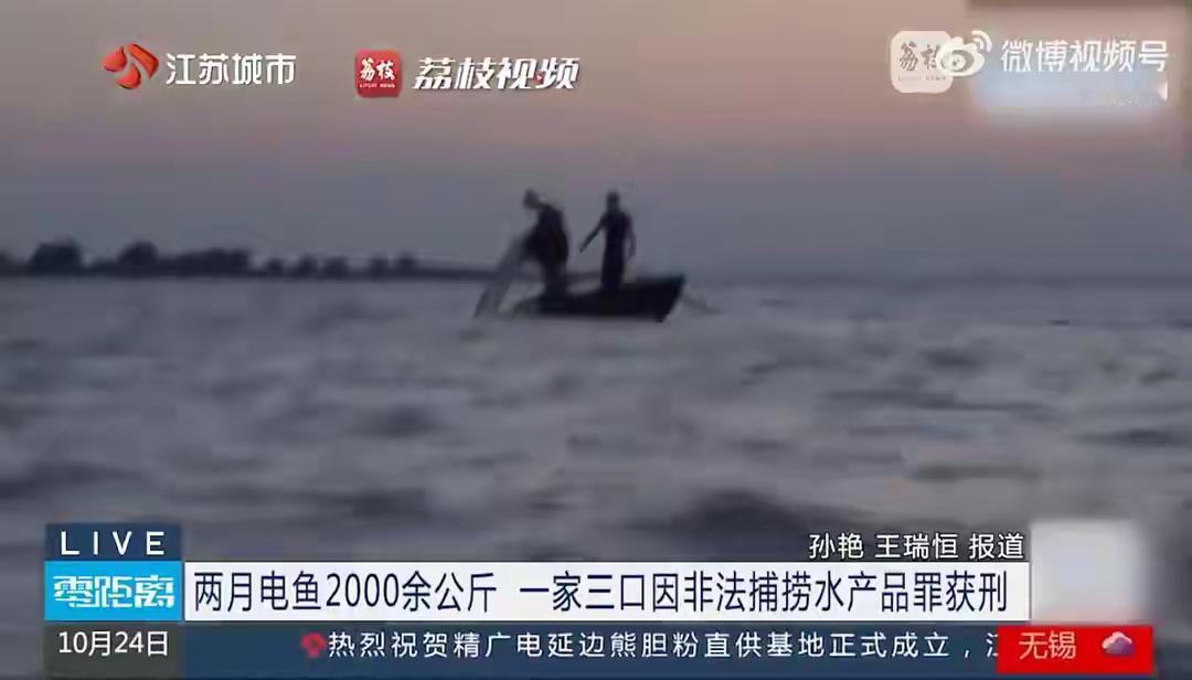 太猖狂！江苏一家3口胆大包天，半夜偷偷摸摸去电鱼，俩月竟电了2000公斤，卖了1