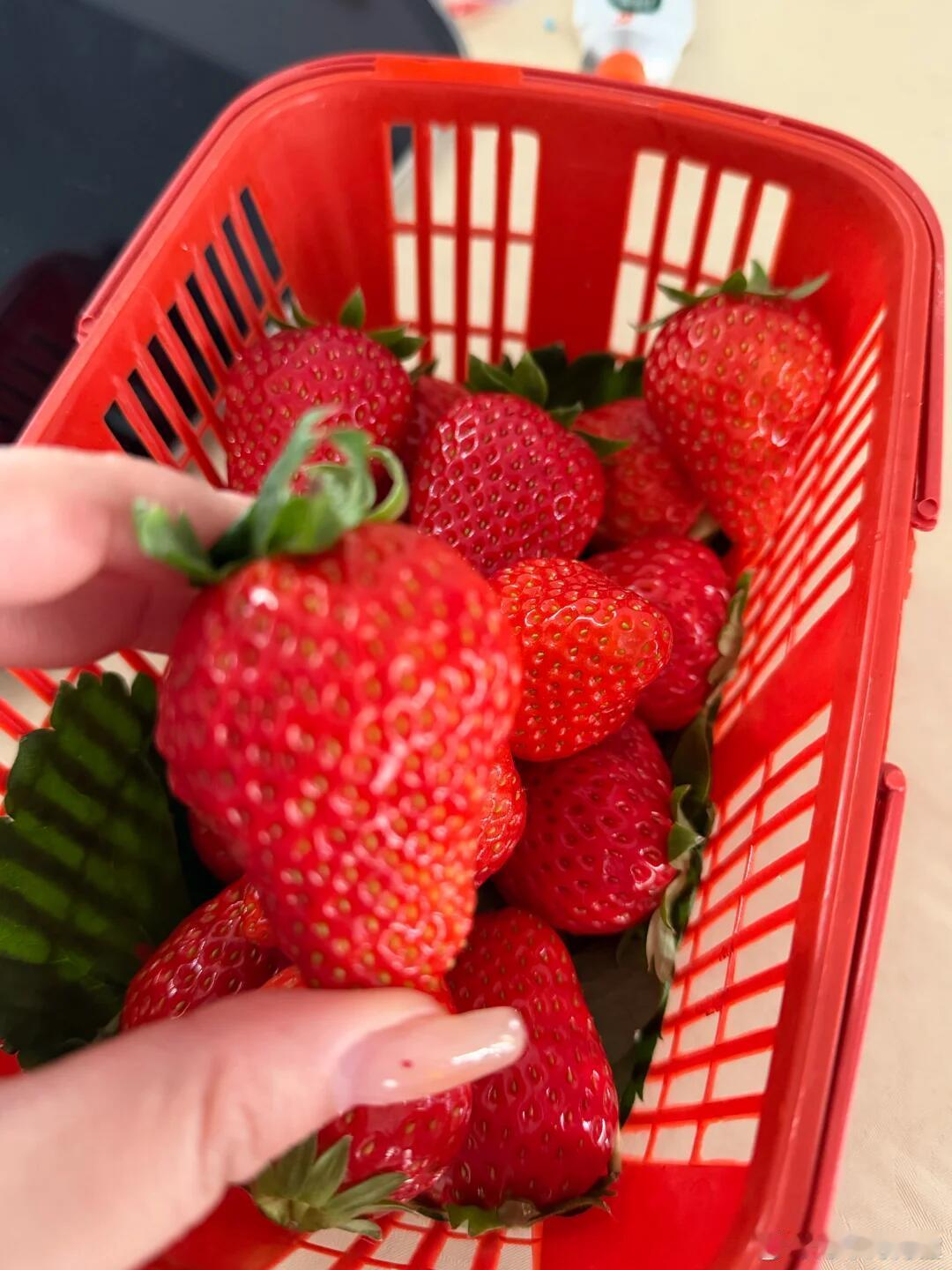 太空数据中心/太空光伏等有新消息，据说SpaceX公司向FCC申请发射并运营一个