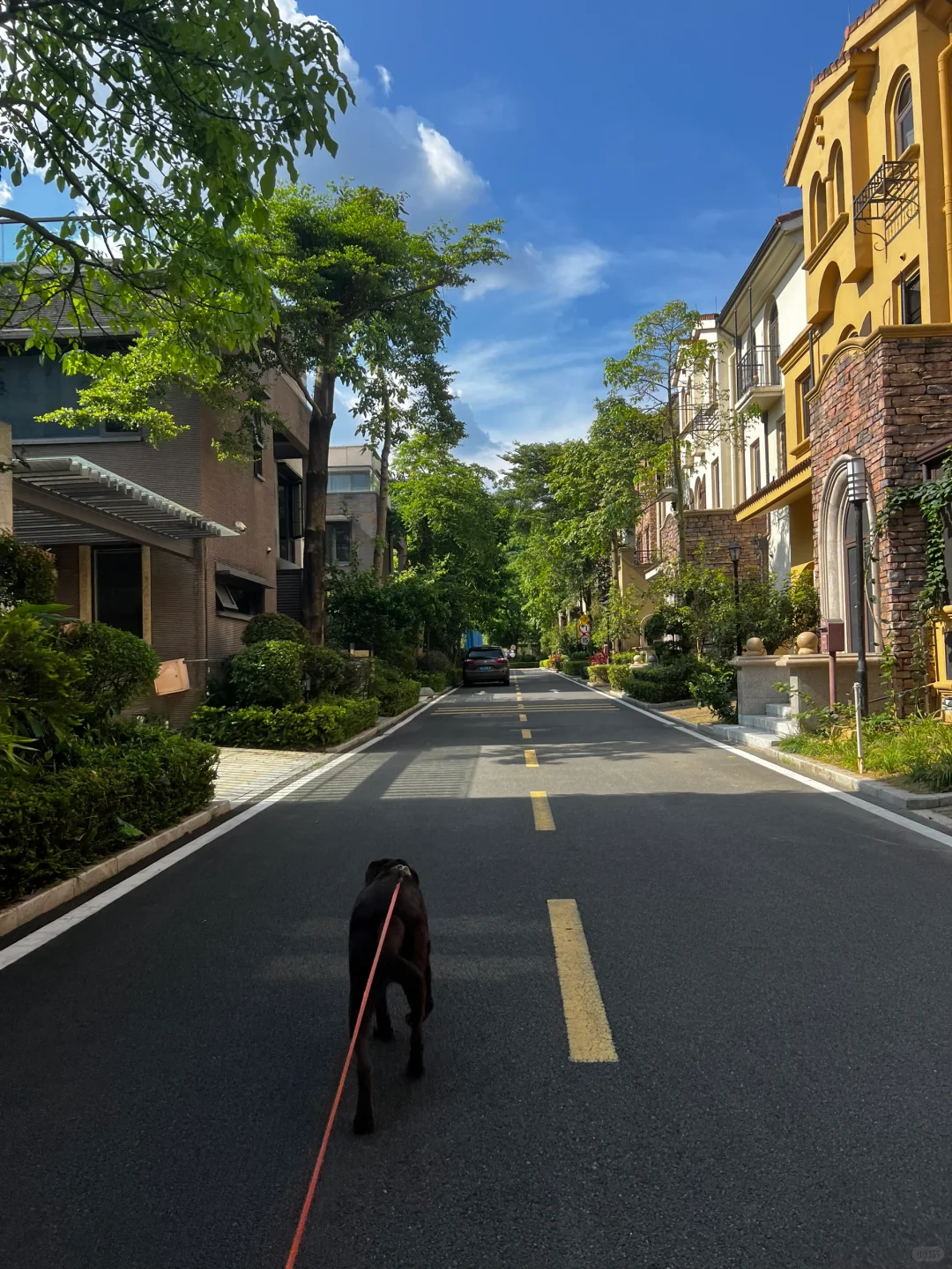 What a beautiful morning walks