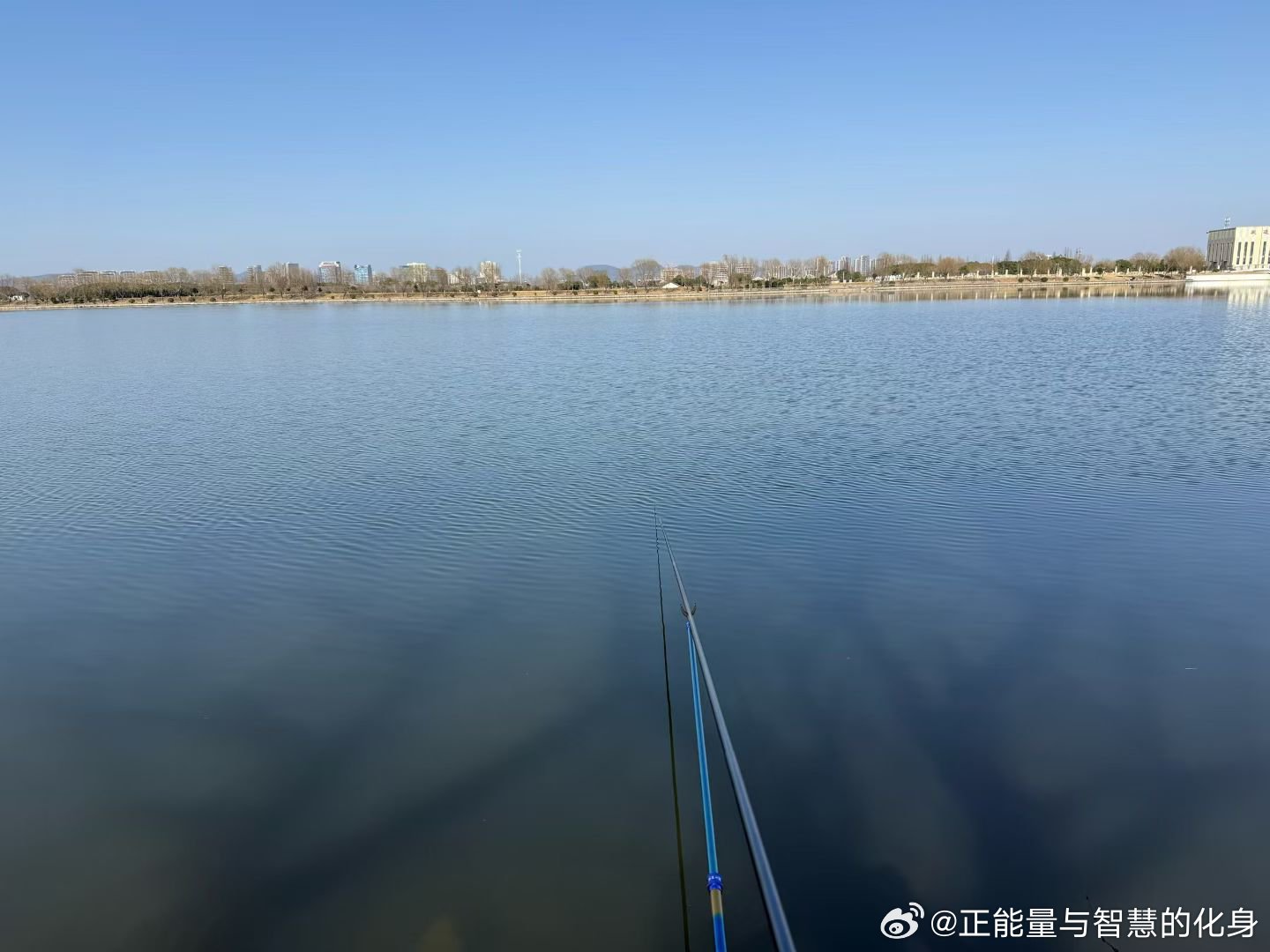 我很累、好想倒下、但是为了生活我只能坚持、因为我知道靠不了别人只能靠自己、人这一