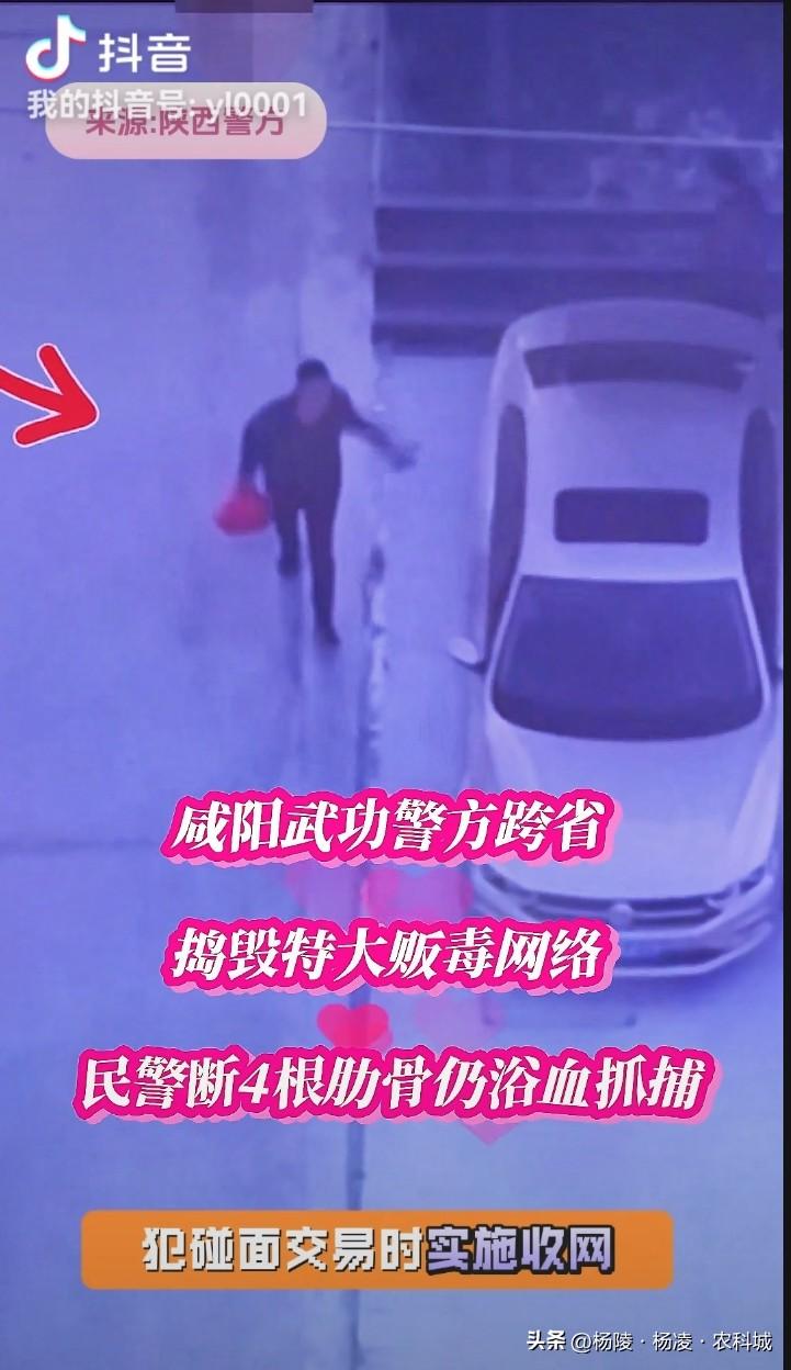 陕西咸阳武功警方跨省捣毁特大贩毒网络，民警断4根肋骨仍英勇抓捕缉毒 贩运毒品 陕