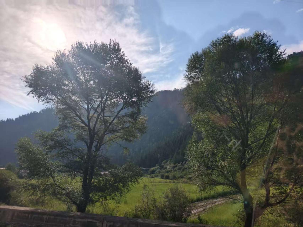 阳光洒满田野，树影婆娑，静享自然之美。甘南美景，不让猜。
