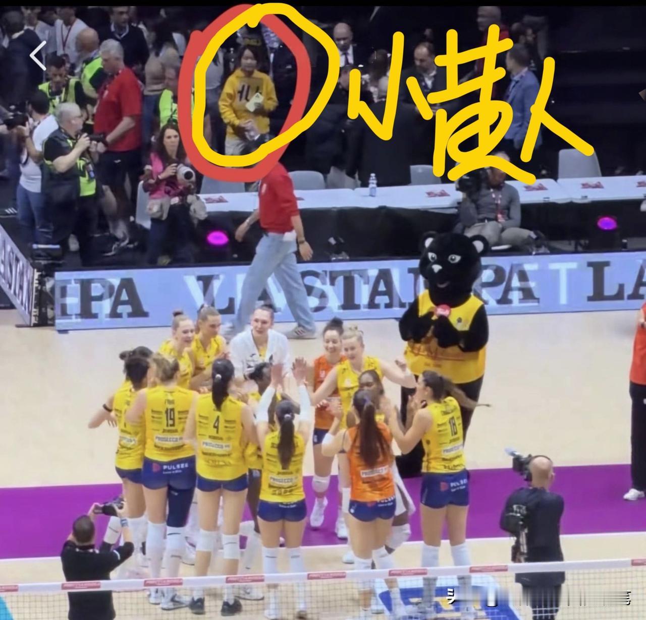 这就是朱婷的影响力，在意大利杯决赛场又见到了小黄人，她穿着黄色应援服，戴着zhu