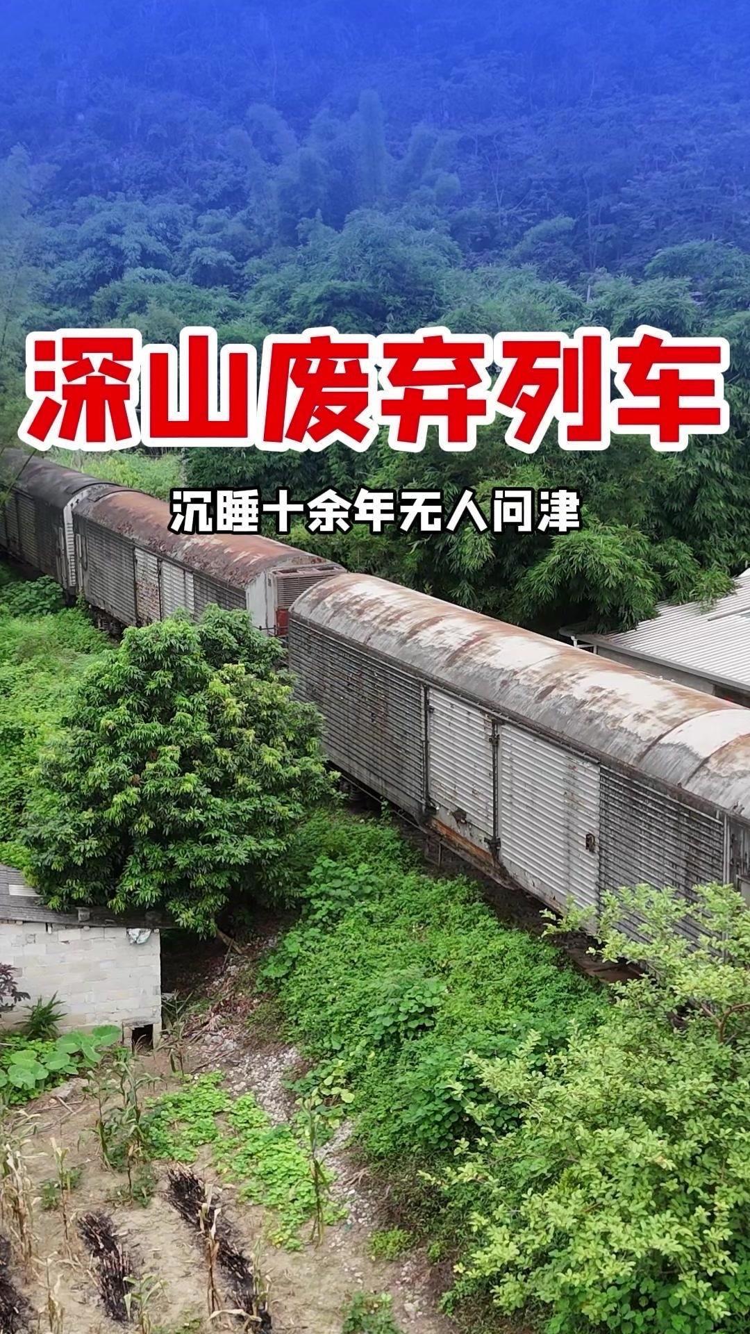 广西深山藏着废弃列车，沉睡十余年无人问津。它曾是河池黄金专线，七八十年代火遍全国