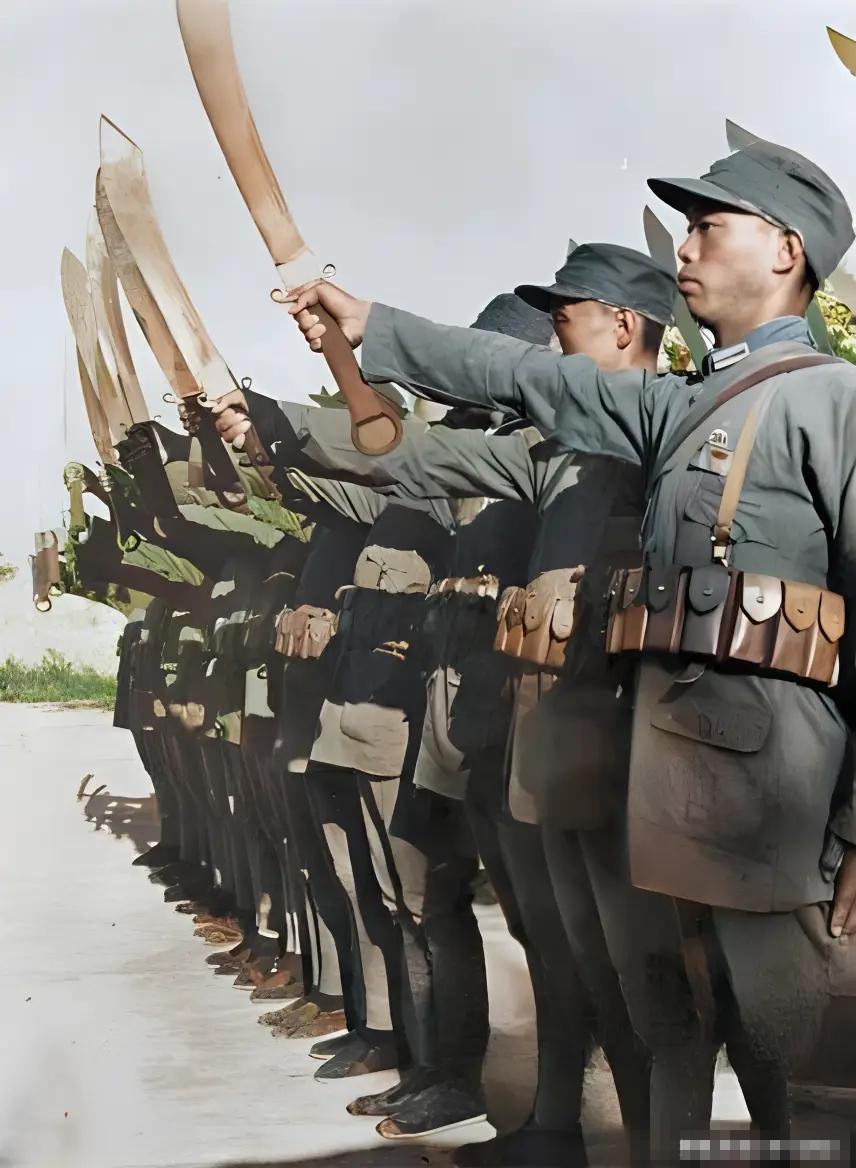 为什么国民政府会在1937年，不惜同日寇发动全面战争？

《银元时代生活史》的作