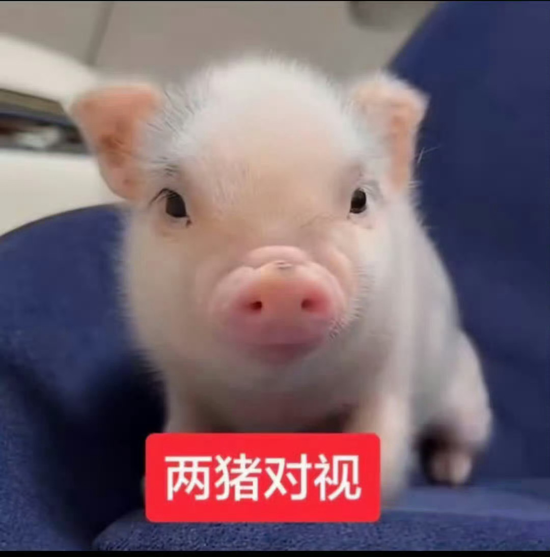 分享图片 ​​​