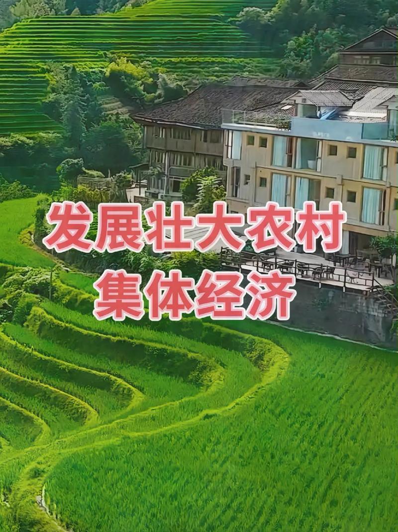 集体化加工业化：农村幸福之路的再思考

本文探讨了中国农村发展道路选择问题，对比