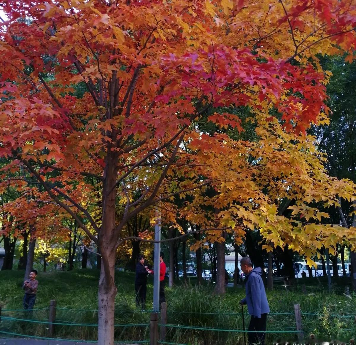 爸妈想跟儿子儿媳一起住，儿媳却觉得空间不够。
这事儿不是谁对谁错，是两代人的生活