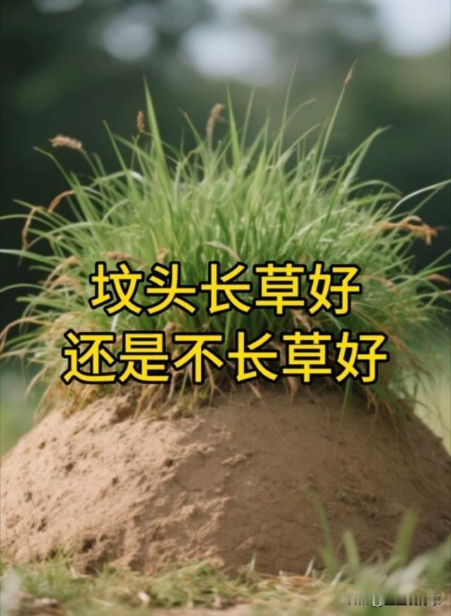 坟头长草别瞎拔！这3种是“福草”，拔了等于把福气扔了

以前我也觉得，坟头光溜溜