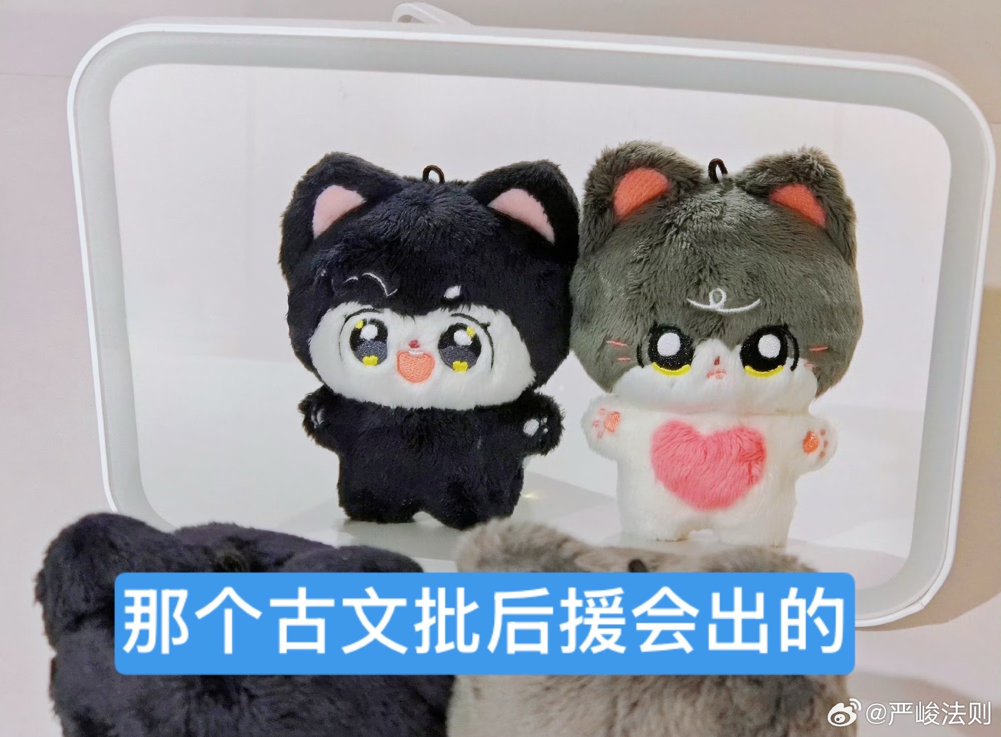 这是什么啊大姐姐 