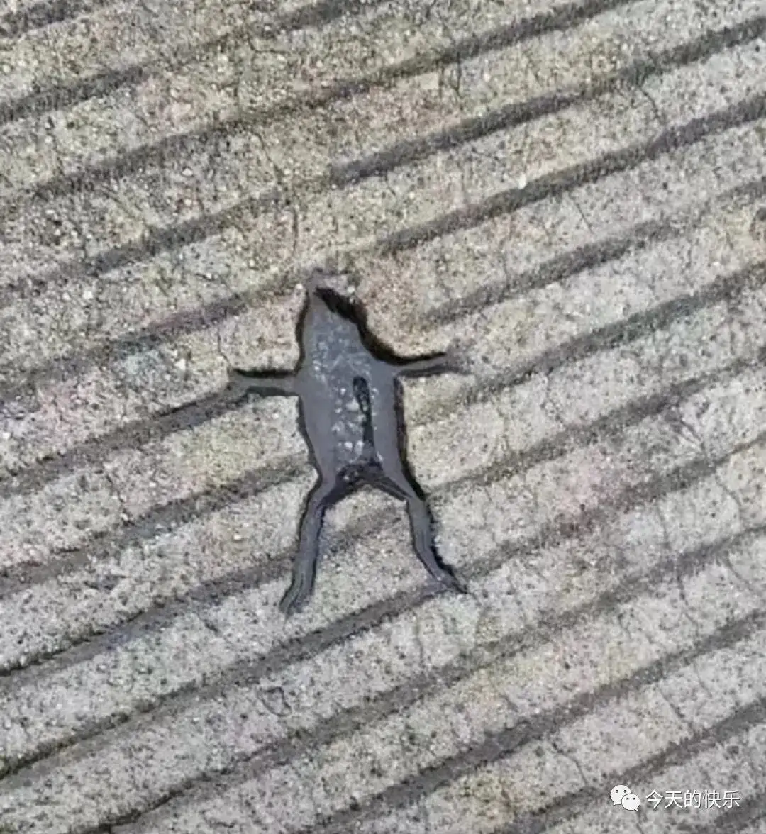 当时发生了什么？？？<img src=