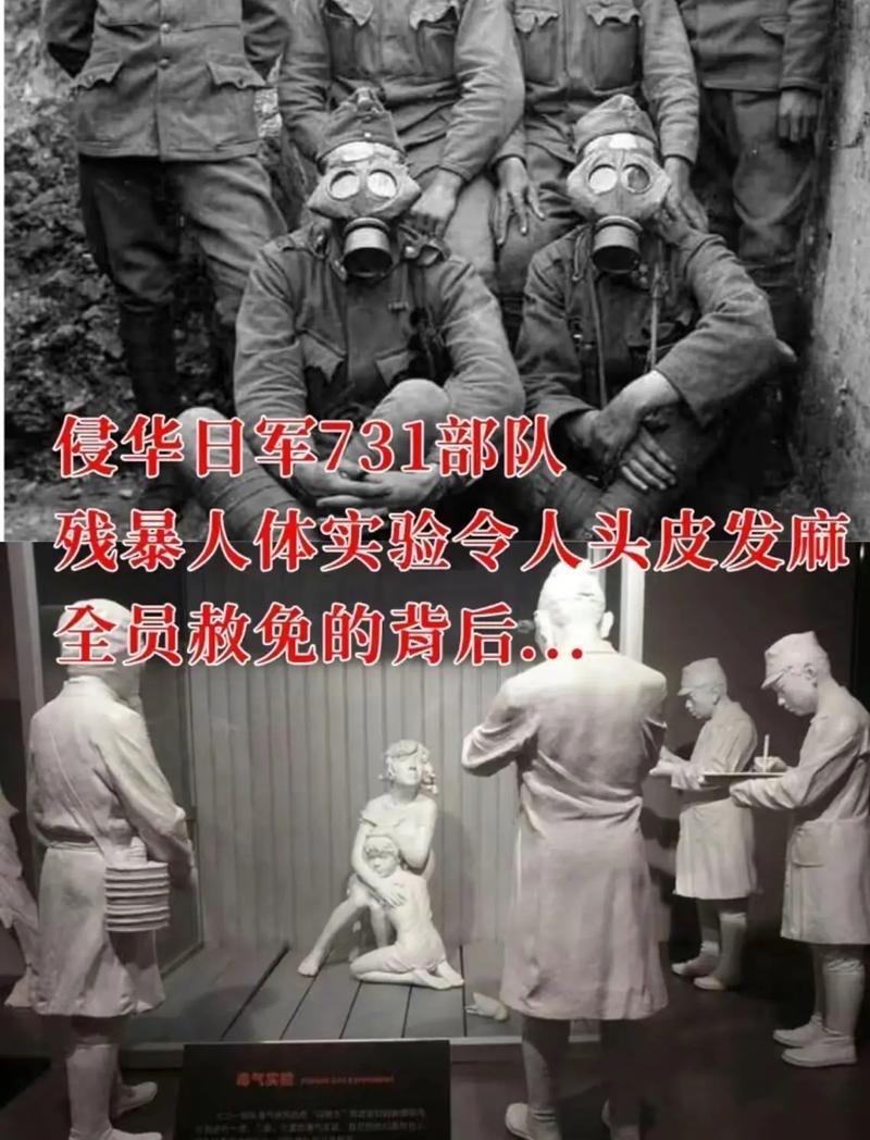 解剖时人还是温热的，血会喷出来。”95岁的日本老兵清水秀夫颤抖着说出这句话时，在