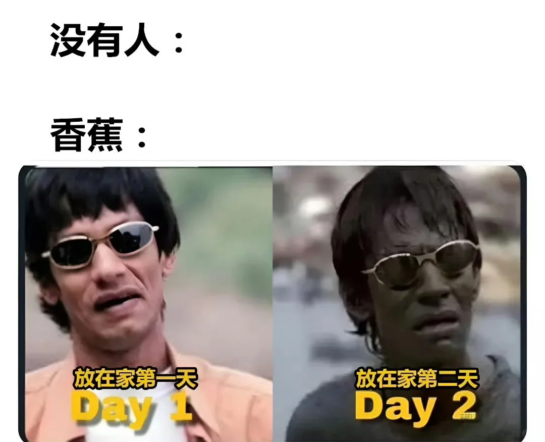 今日份meme