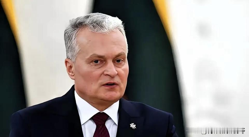 立陶宛禁中国能源零件喊得凶，说白了就是蚊子冲大象挥拳头——
不是真要打架，是想蹭