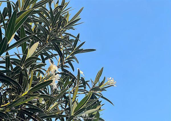 穷人缺的从不是努力，而是判断力，认知高度决定财富厚度
 
最近一段关于贫富差距与