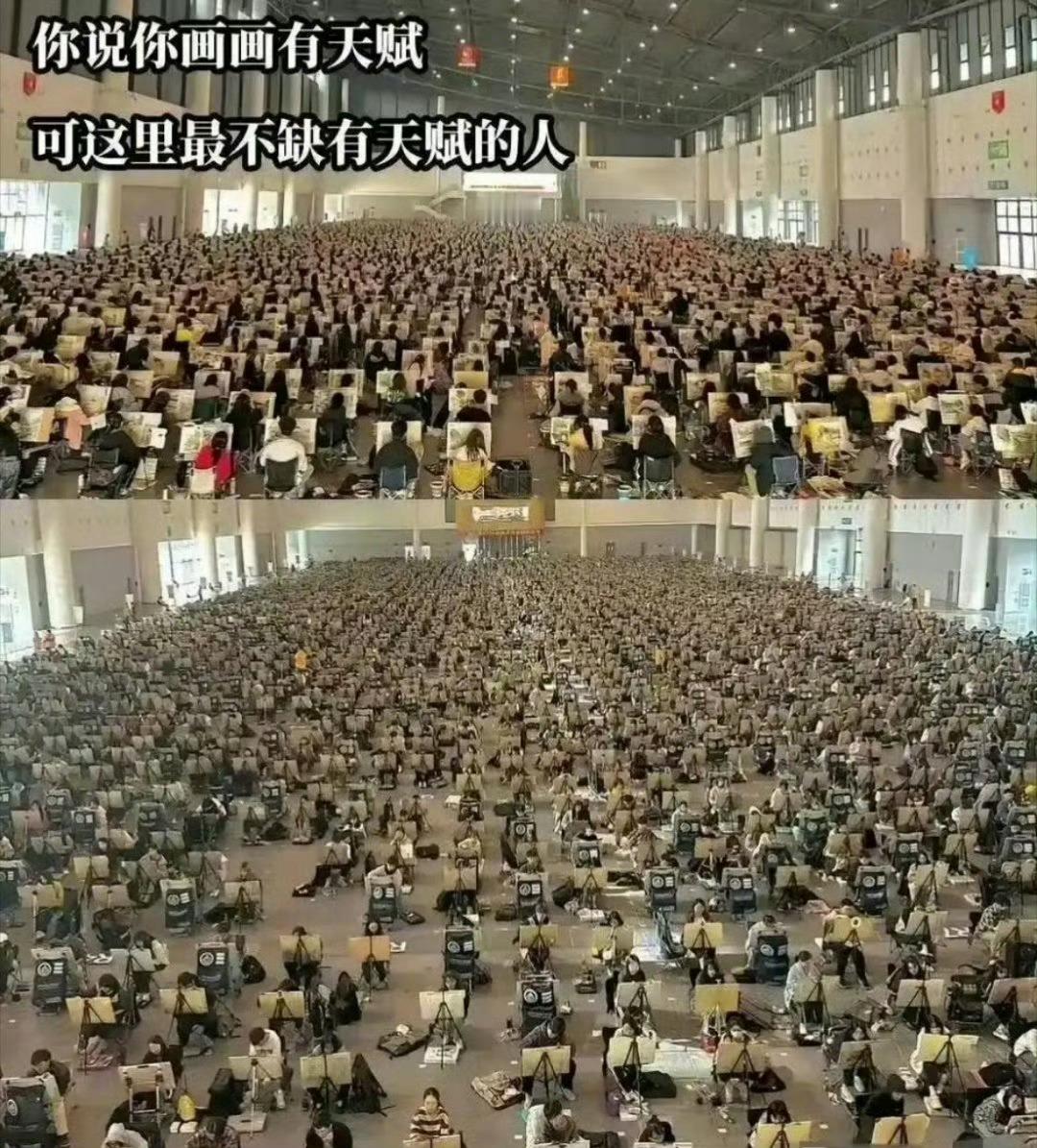 不懂就问，他们未来的就业方向是什么？