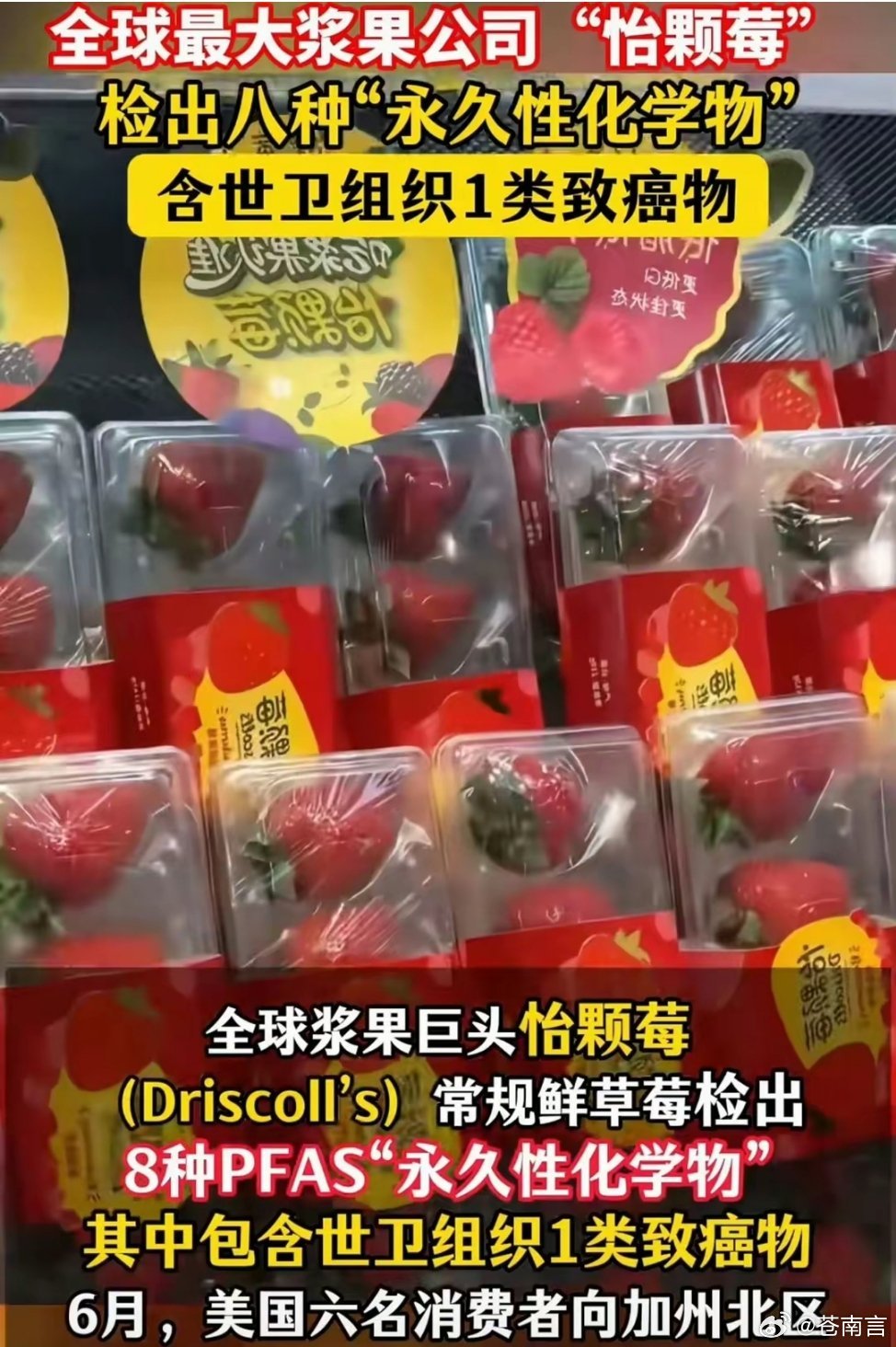 怡颗莓 致癌物怡颗莓查出致癌物？别乱恐慌！一、事件源头：出事的不是蓝莓，是美国本