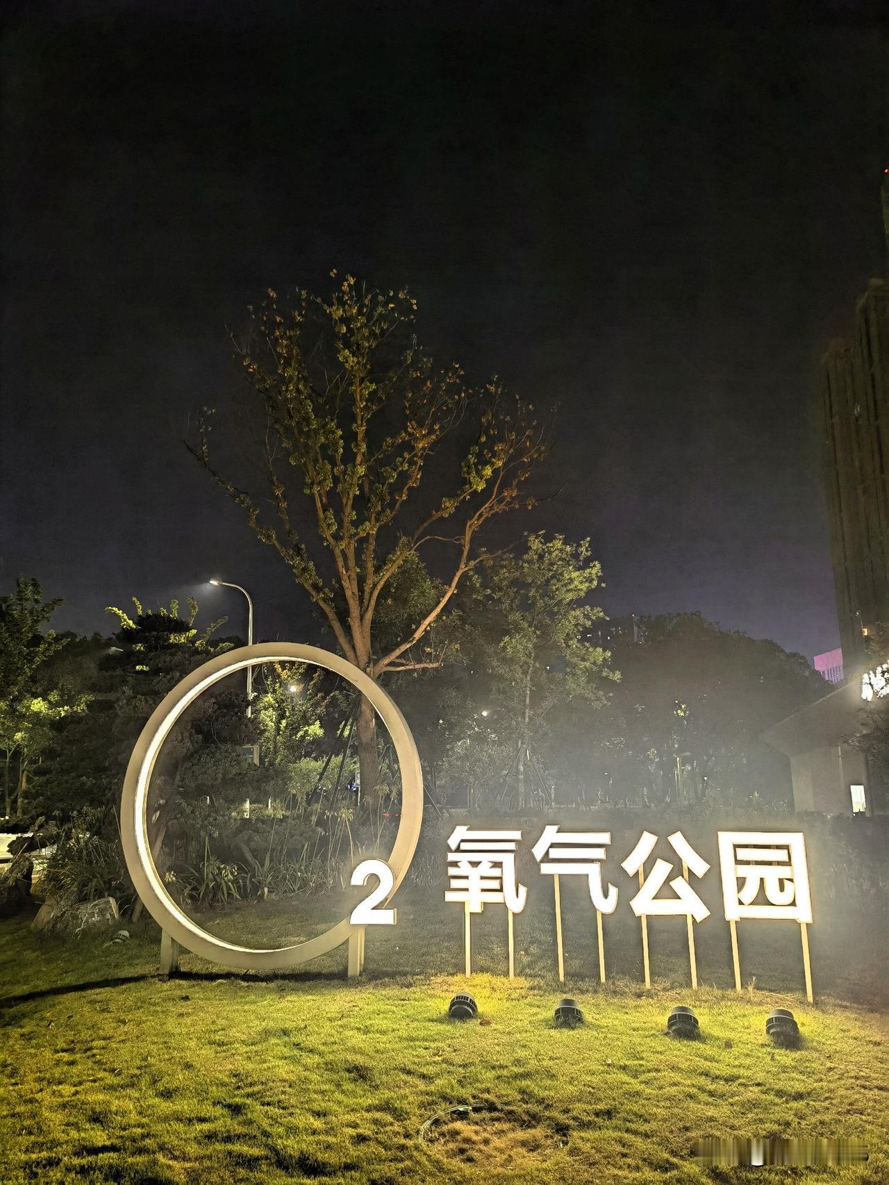 散步随拍城市夜景

昨晚散步氧气公园，定格了几帧治愈系的夜景。

毛茸茸的狗尾巴