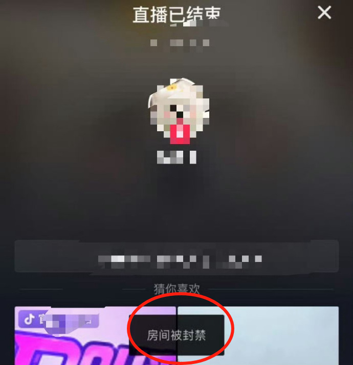 这是真-千里追鲨，太好笑了[允悲] ​​​