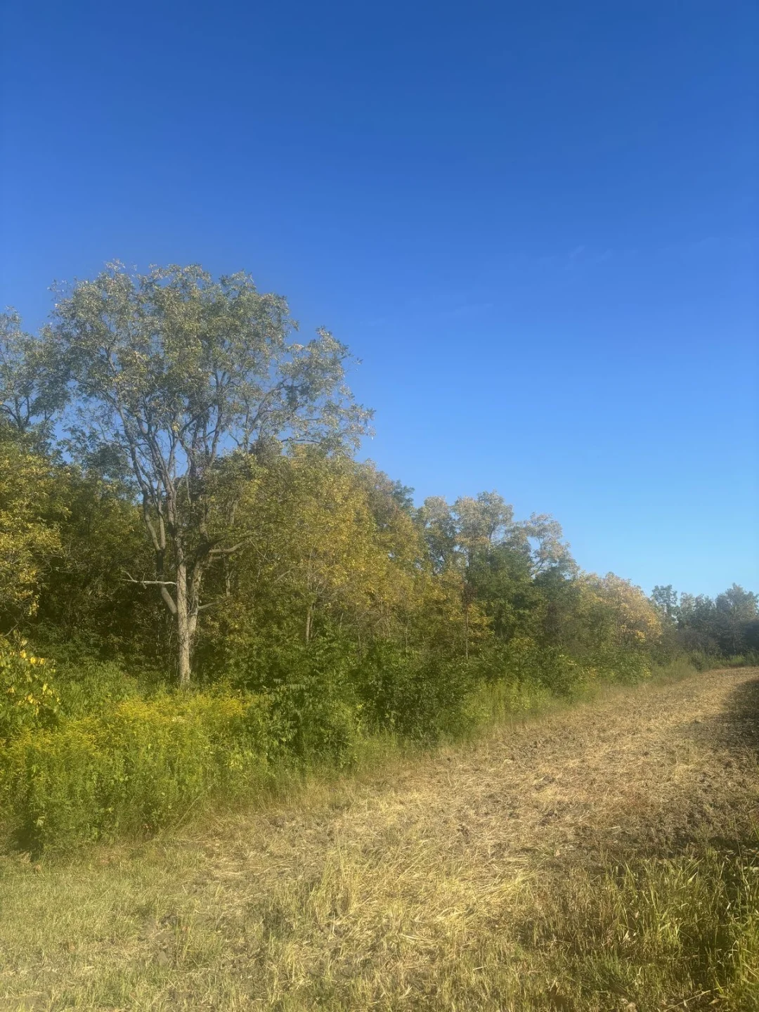 我发现秋天的颜色藏在乡间小路上