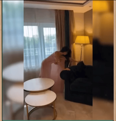 找东西还是拆家？ ​​​