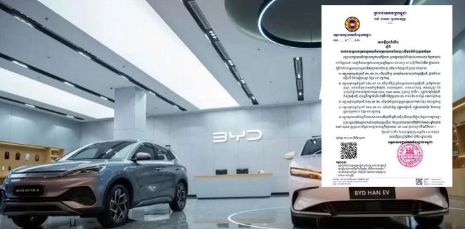 东南亚这次真的拼了，动作大得惊人！就在4月1日，咱们中国的新能源产业，突然在海外