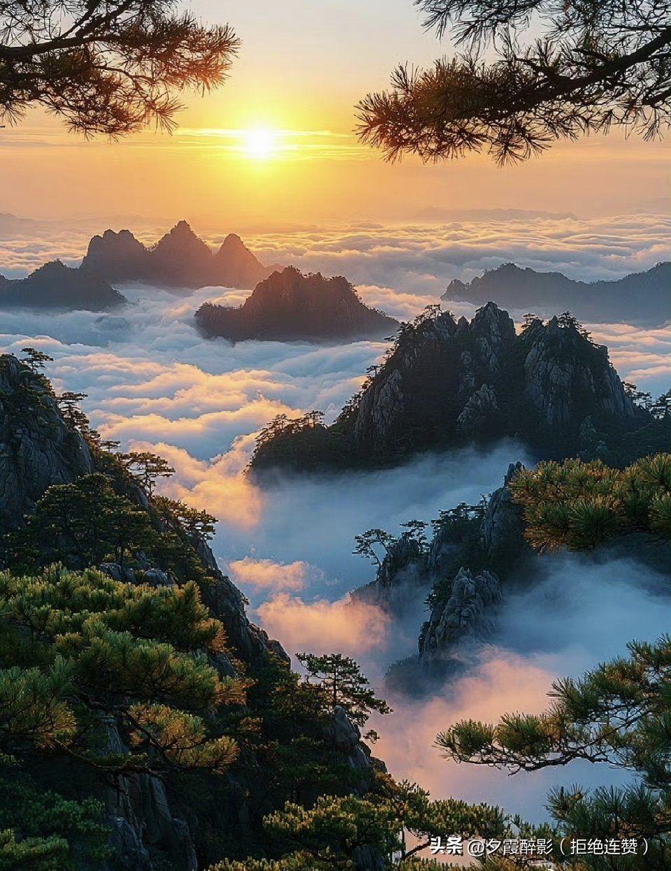 去看那有着“五岳归来不看山，黄山归来不看岳”，“登黄山天下无山，观止矣”之称的黄