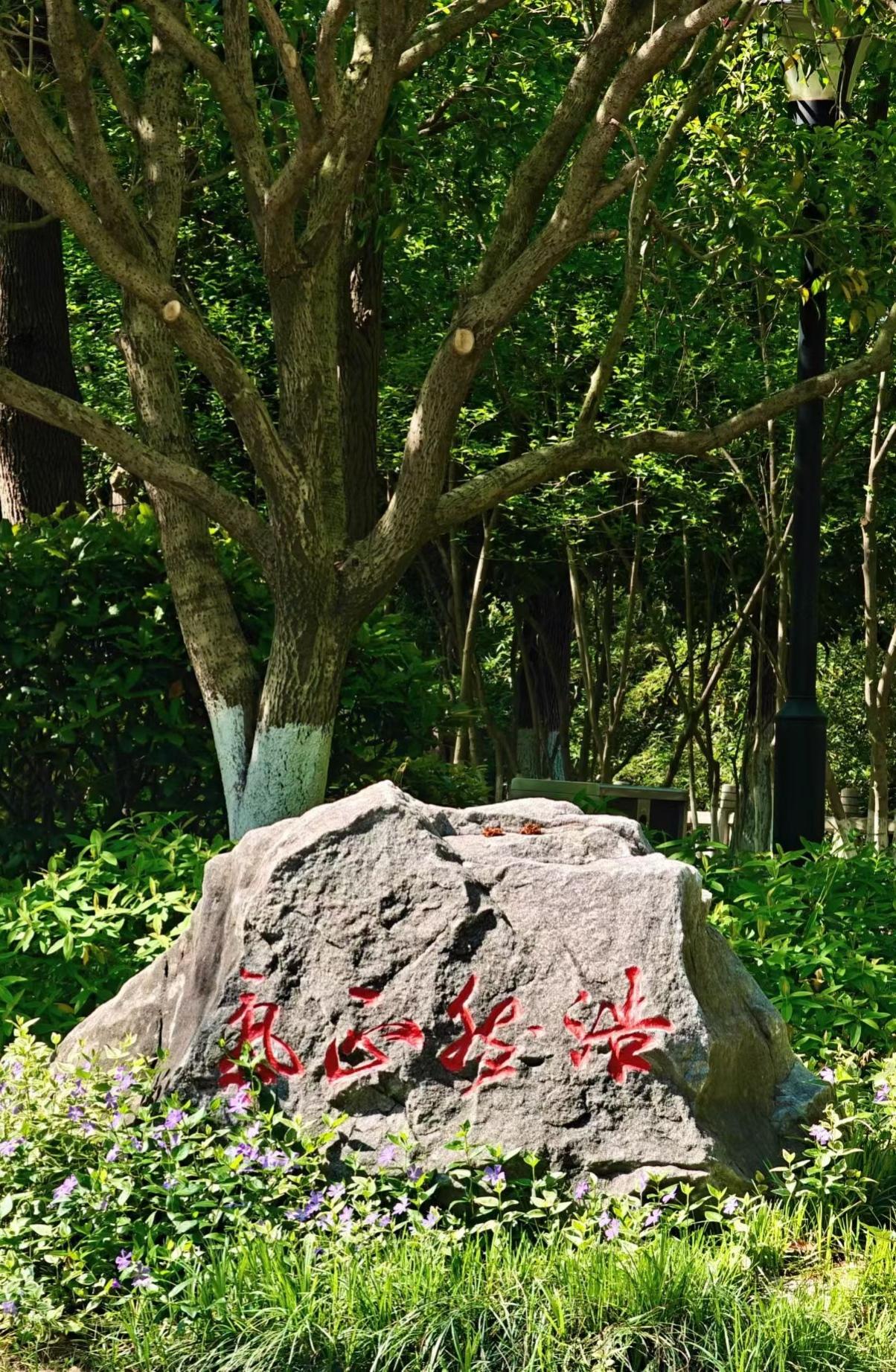 渡人不如渡己，余生很短，管好自己就是顶配
 
活了大半辈子才慢慢明白，这世上最难