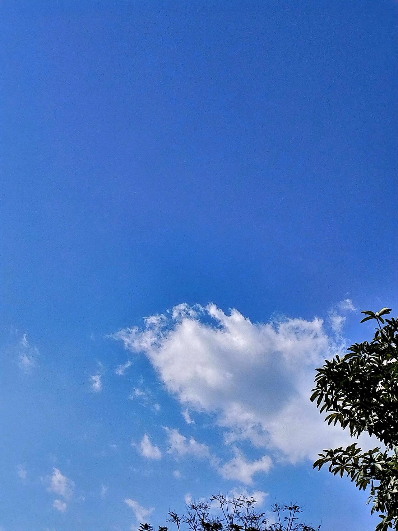 晒图笔记大赛 云卷千山外，风拂万里天。午后在街道上走，抬头看到蓝天飘着三浮云如棉