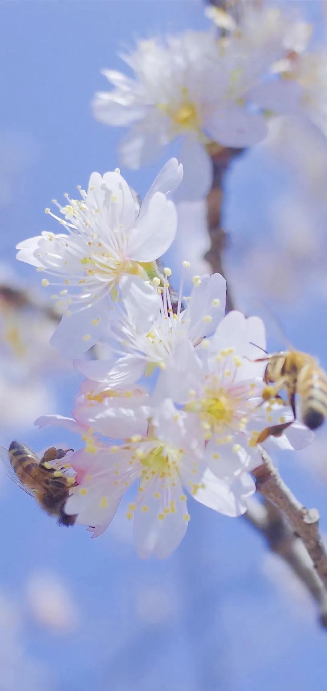 时间可以冲淡一切，当然包括你的不顺和心力憔悴！