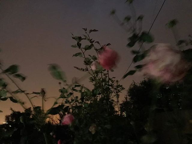 世界上的事情，最忌讳的就是个十全十美，你看那天上的月亮，一旦圆满了，马上就要亏厌