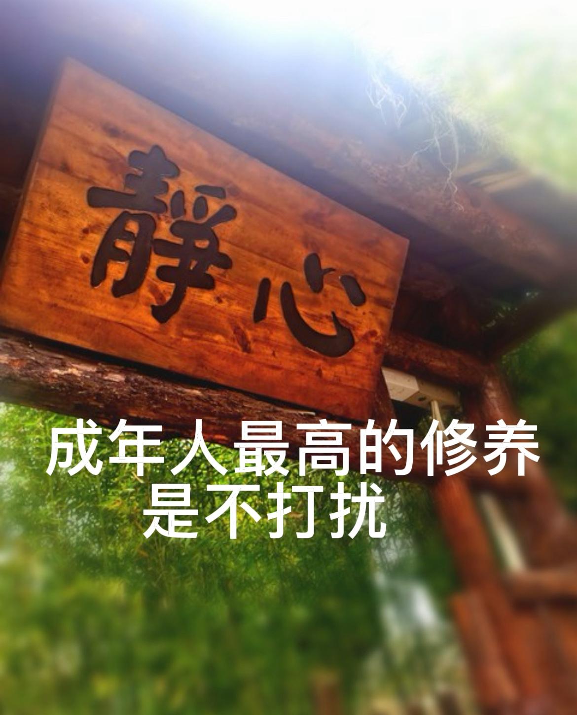 人到中年，学会不打扰别人

越活越通透的成年人，都悄悄戒掉了主动打扰。

年轻时