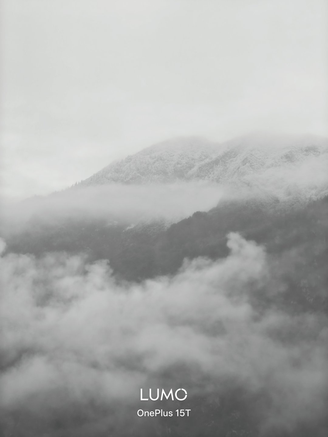 早，今天一睁眼，窗外是这样的...... 