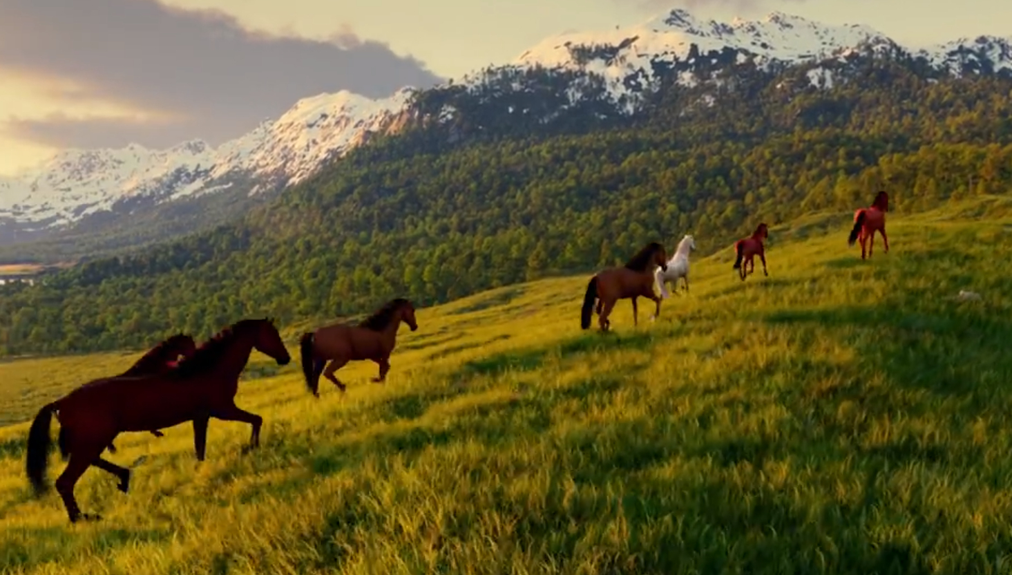 刚看了农夫山泉的马年生肖主题动画电影，真的是感慨良多电影的故事性，拍摄技巧，构图