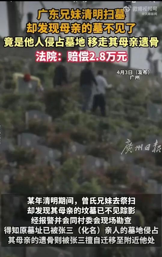 清明惊魂！广州兄妹上山祭母竟见坟茔消失骨灰被挪，法院一纸判决揭开人性之恶与法治之