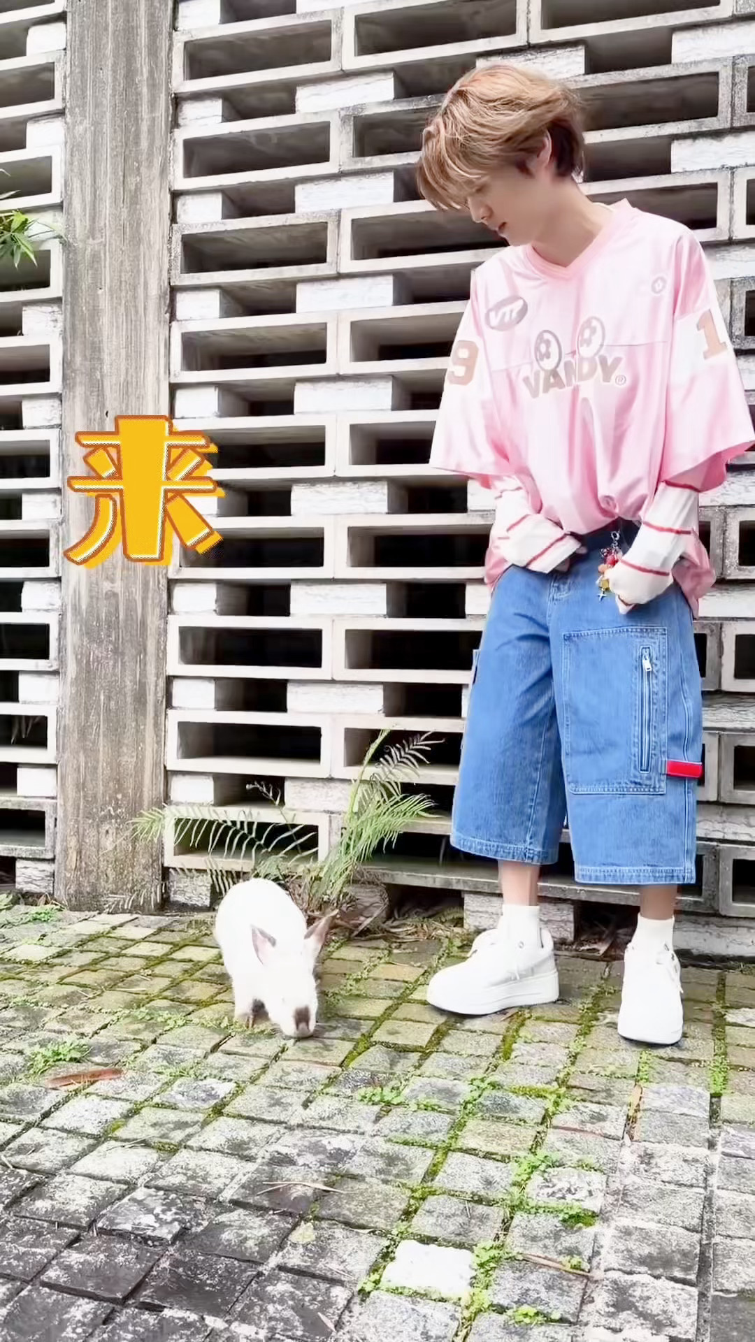 鹿晗哈哈哈哈哈 图里有两只小兔叽🐰 