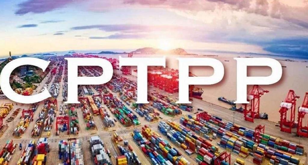 9月1日，CPTPP爆出两条放在一块细品就很有说法的消息。


刚进9月，跨太平