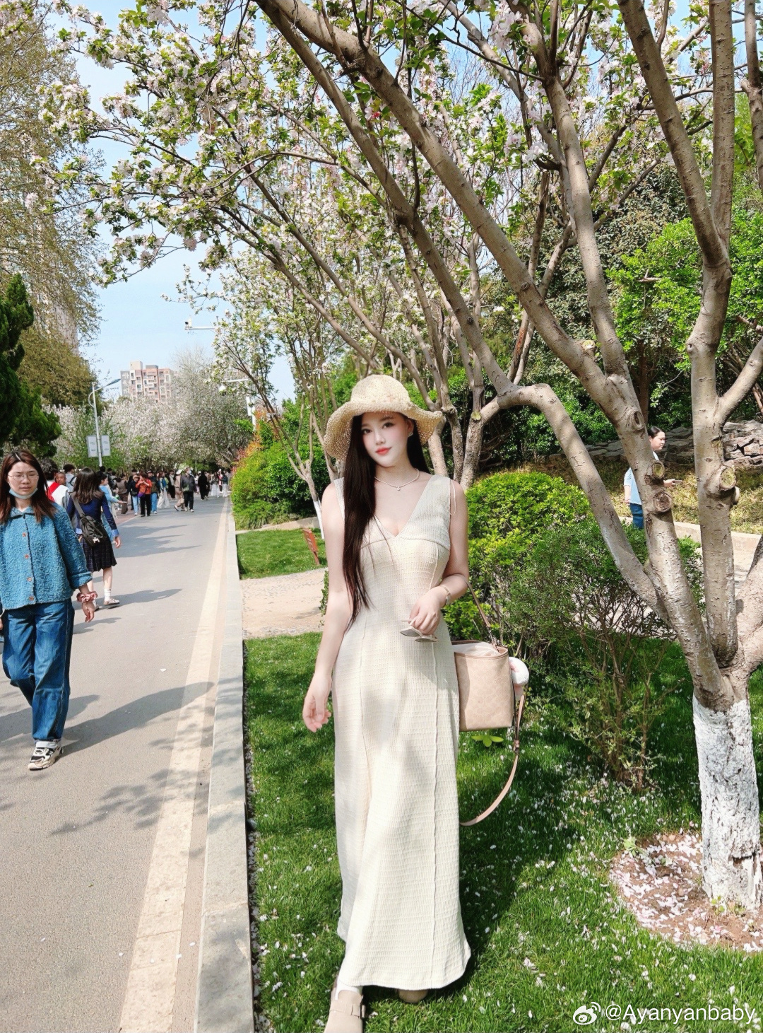 遇见了🐈看海棠花 郑州·碧沙岗公园