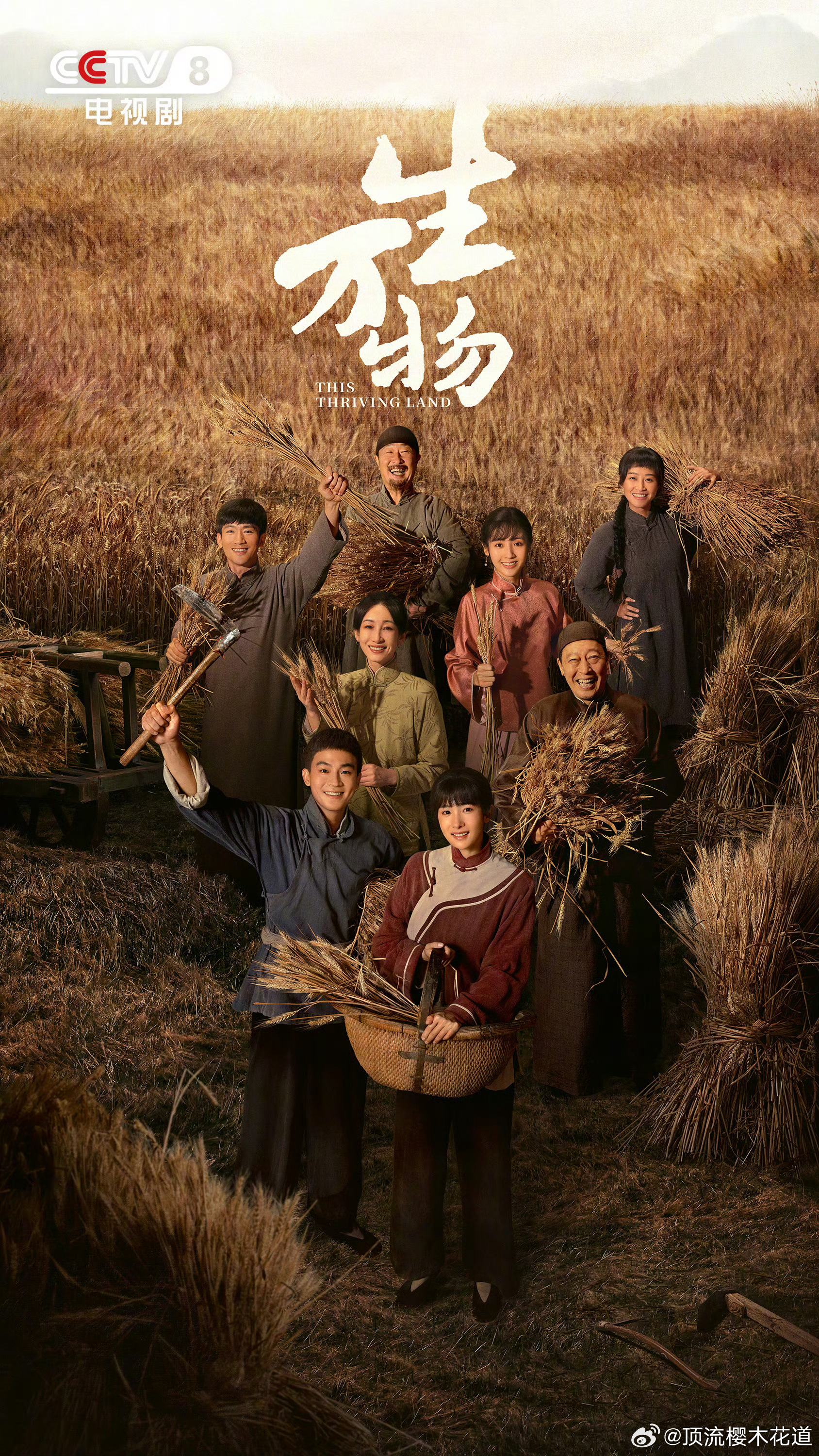 第31届白玉兰奖获奖名单 第31届白玉兰获奖名单白玉兰最佳美术：娄磐（《人生若如
