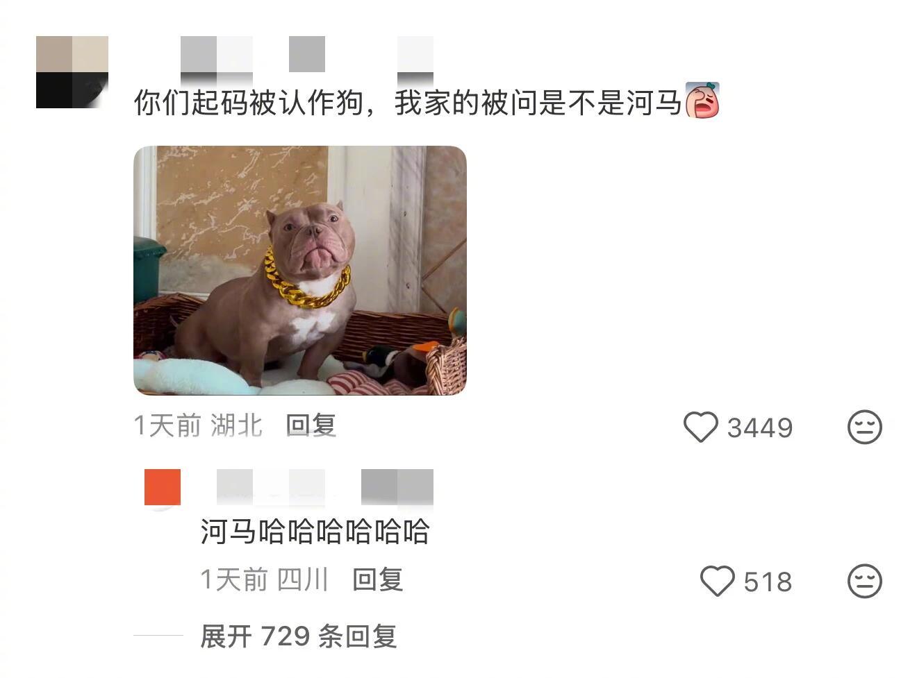 狗的品种全靠路人想象力 